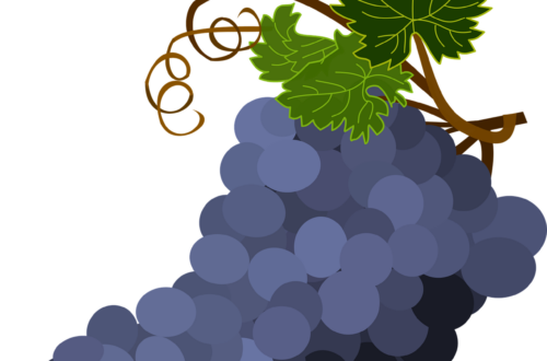 bunch of grapes, grape leaves, grapes-1300662.jpg