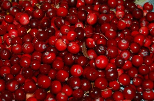 cranberry, berry, red-957583.jpg