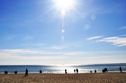 haeundae beach, sunshine, sandy-229490.jpg