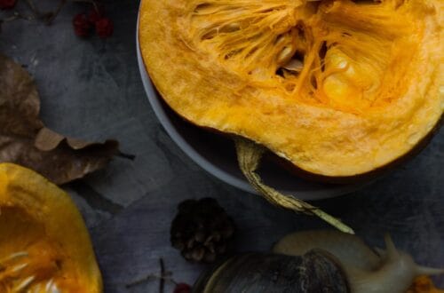 autumn, pumpkin, snail